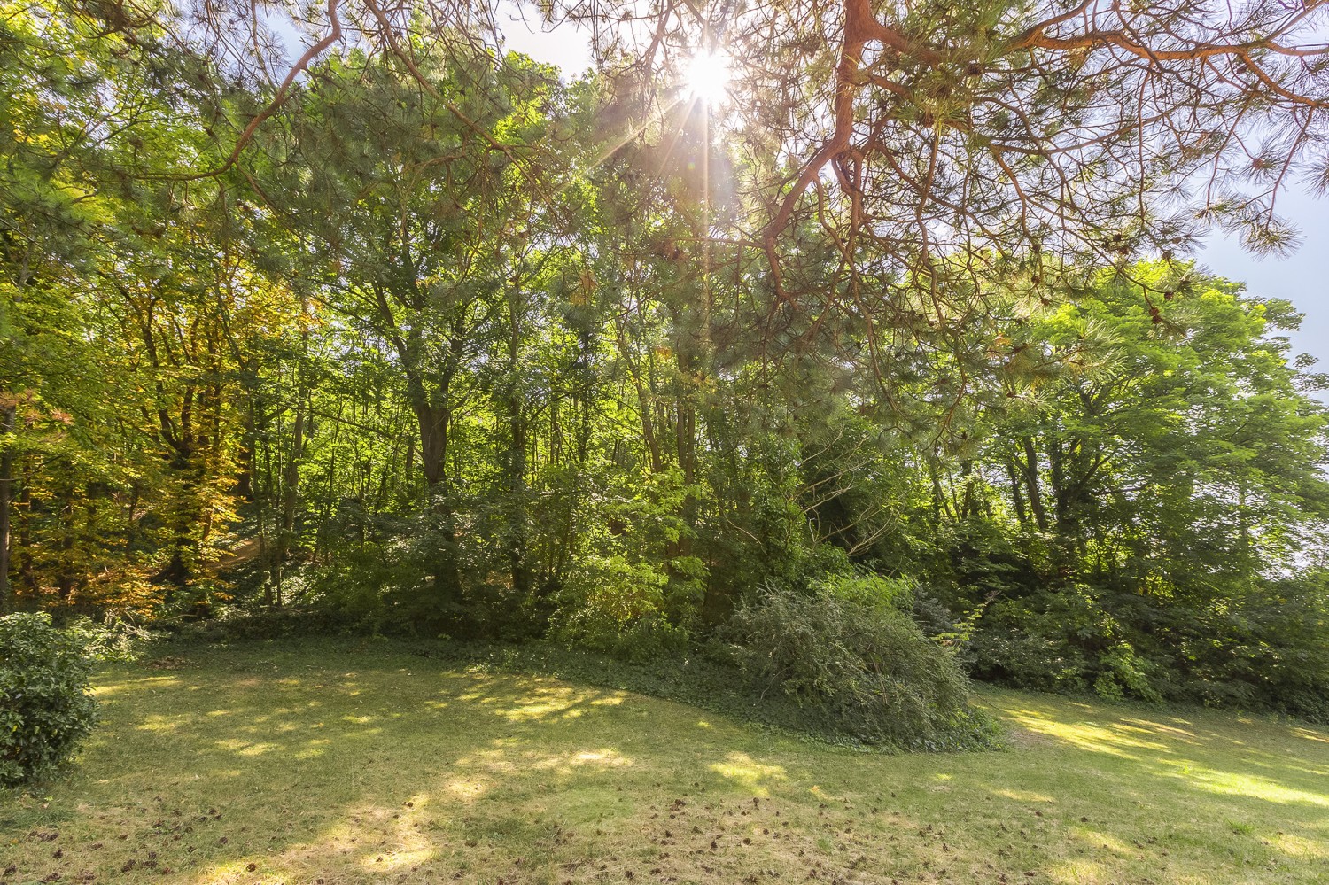 Von Foest Immobilien - Charmante Stil-Villa - VON_FOEST_IMMOBILIEN_LUXUS_IMMOBILIEN_KAUFEN_PERCHTOLDSDORF_WIEN_PREMIUM_VILLA_ERSTBEZUG_19.jpg